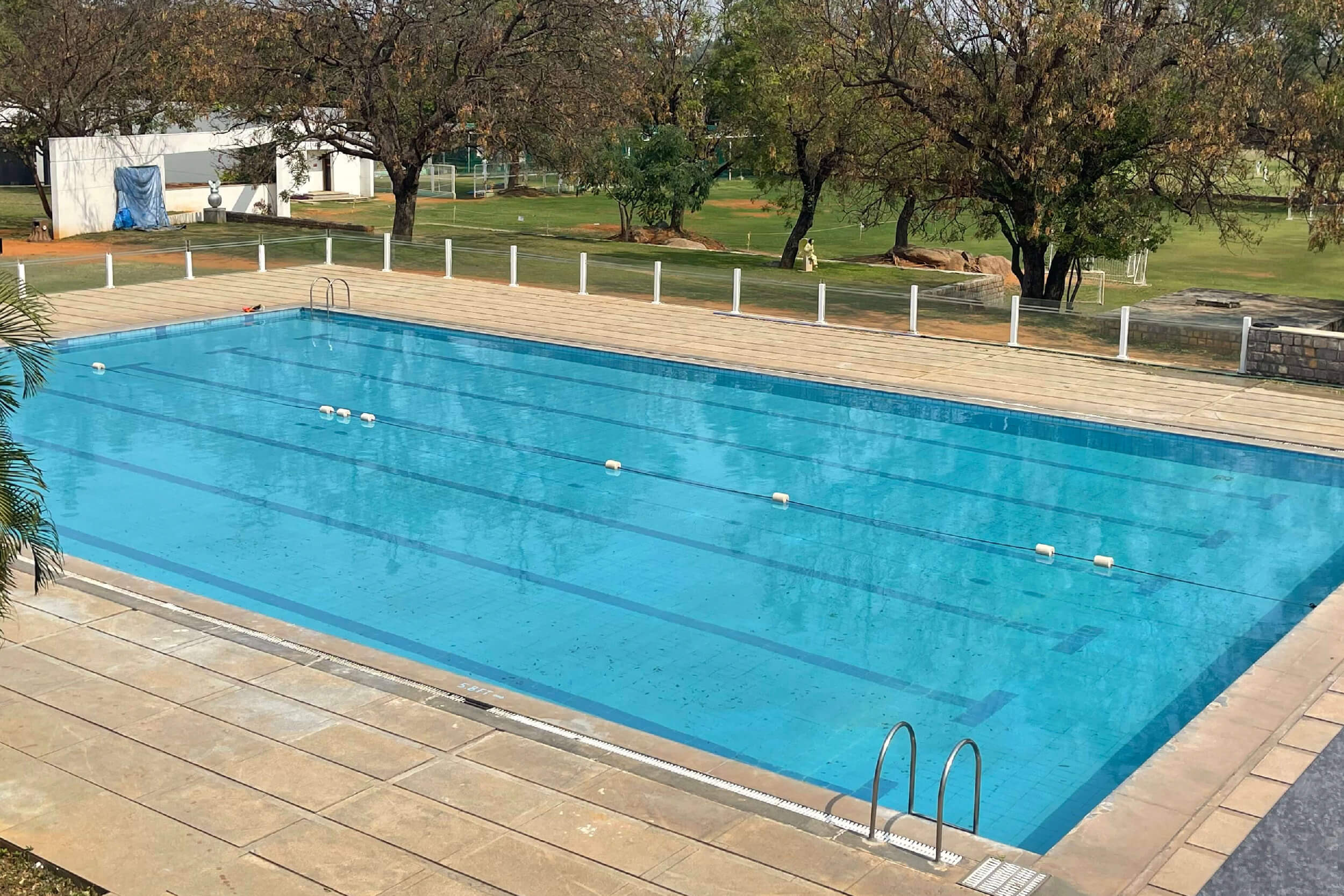 Swimming1-02